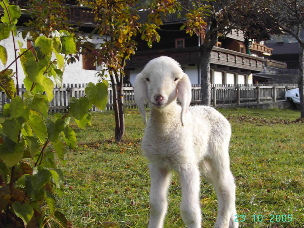 Hansenhof Prägraten Dış mekan fotoğraf