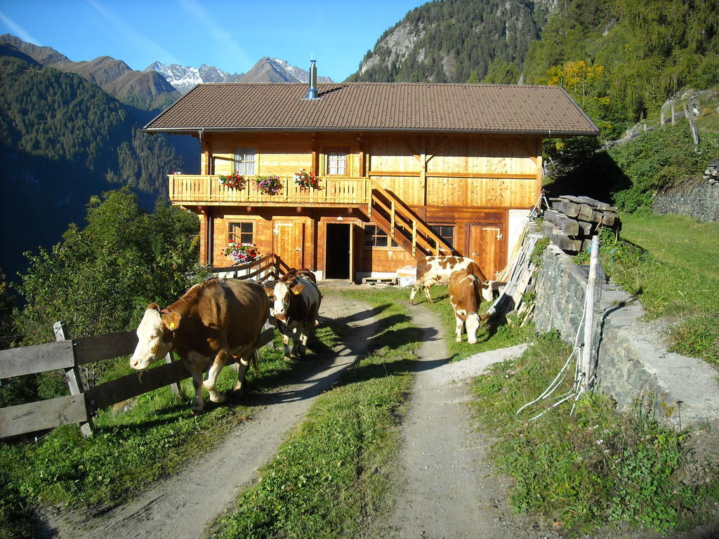 Hansenhof Prägraten Dış mekan fotoğraf