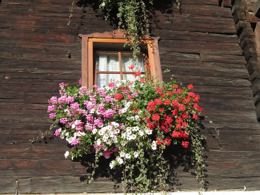 Hansenhof Prägraten Dış mekan fotoğraf