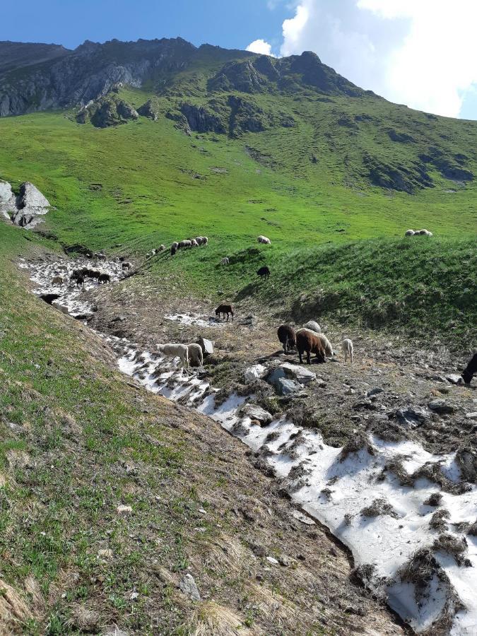 Hansenhof Prägraten Dış mekan fotoğraf